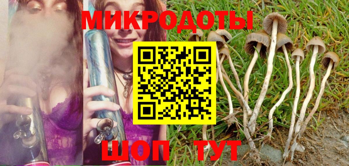 Аша  даркнет сайт  Галлюциногенные грибы Psilocybe  Вход с VPN  Галлюциногенные грибы Cubensis 